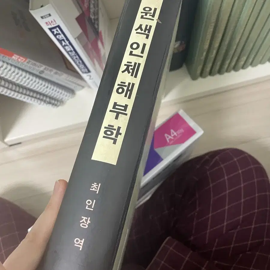 원색인체해부학 초판