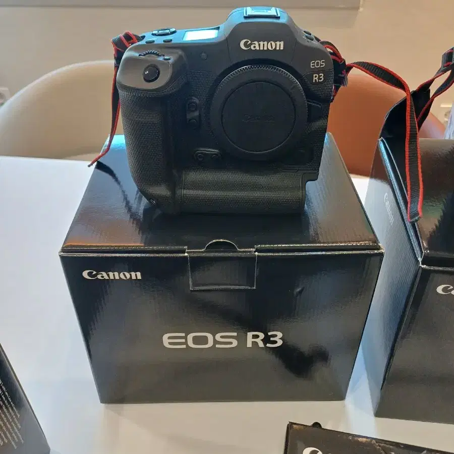 캐논 EOS R3