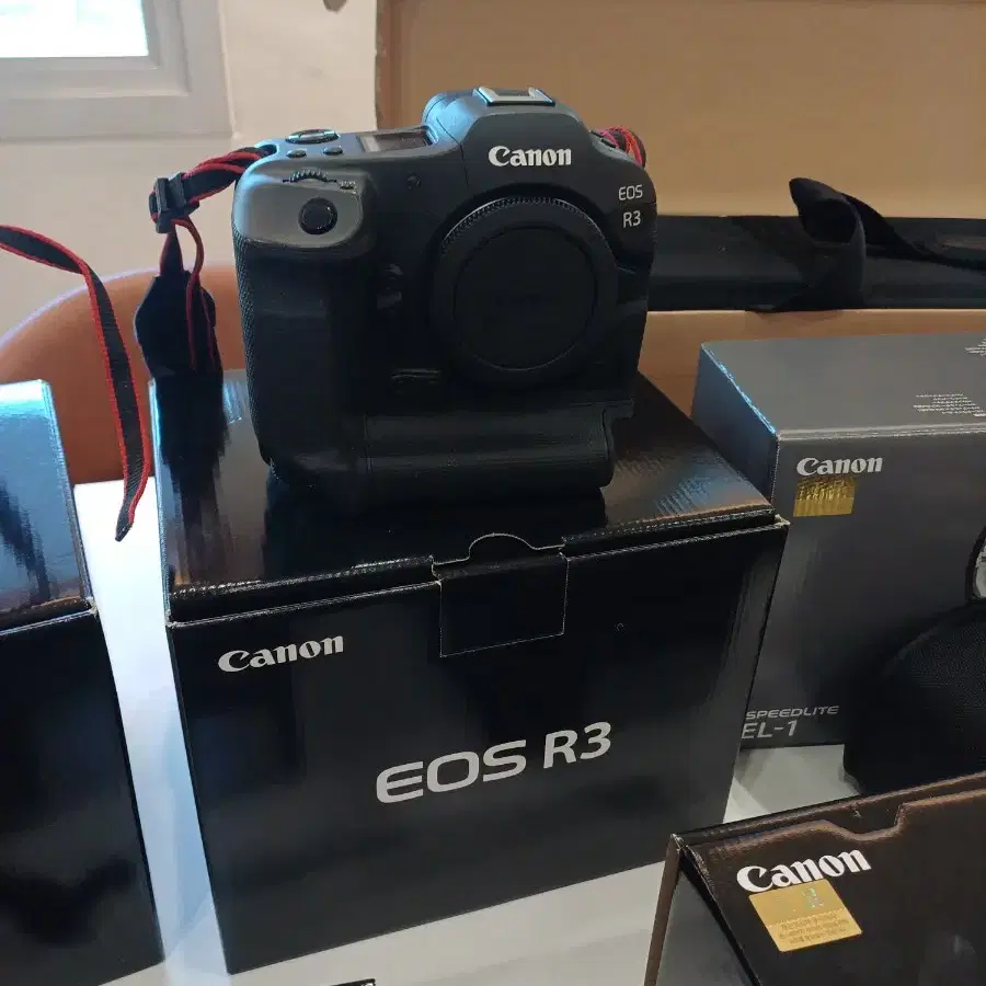 캐논 EOS R3