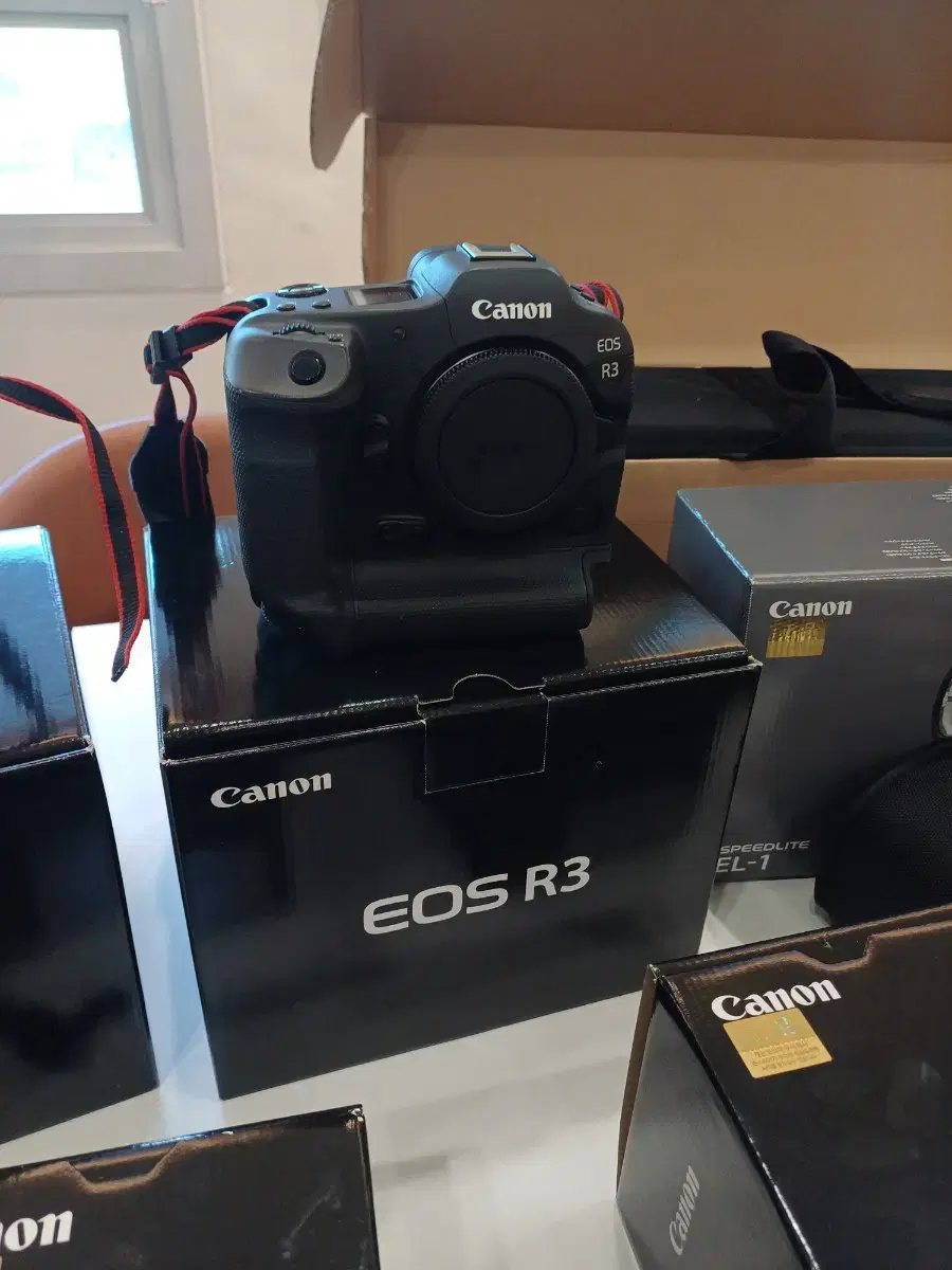 캐논 EOS R3