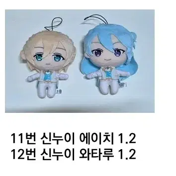 11번 ㅇㅇㅊ 12번 ㅇㅌㄹ 신누이