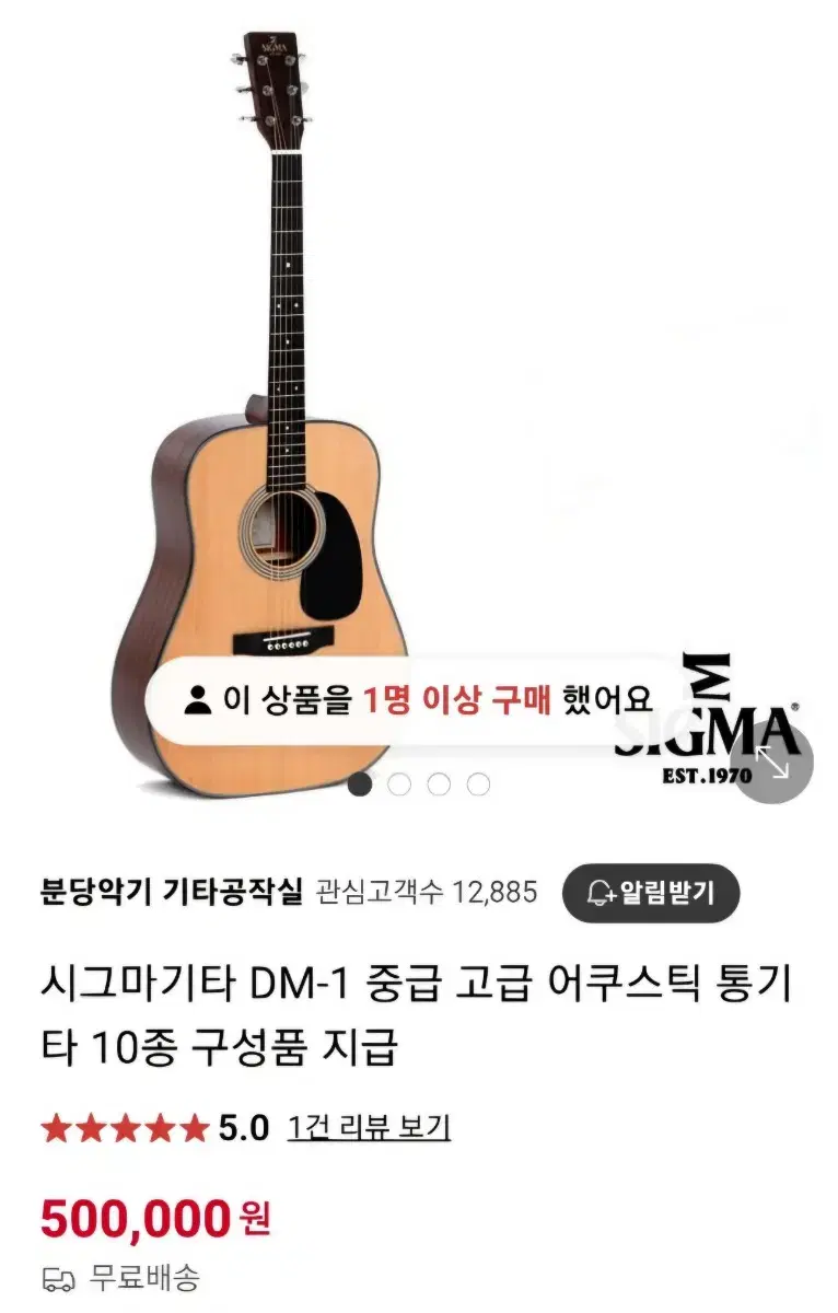 시그마기타 DM-1