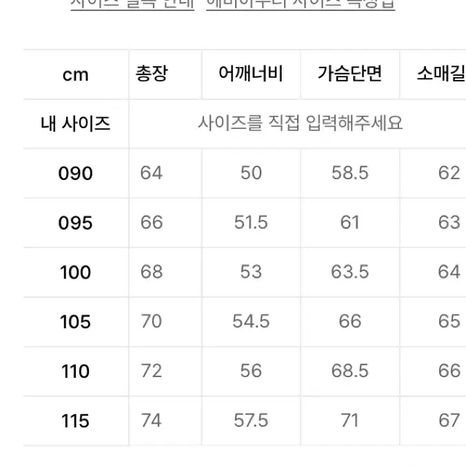 네셔널 지오그래픽 레이만 덕다운 숏패딩