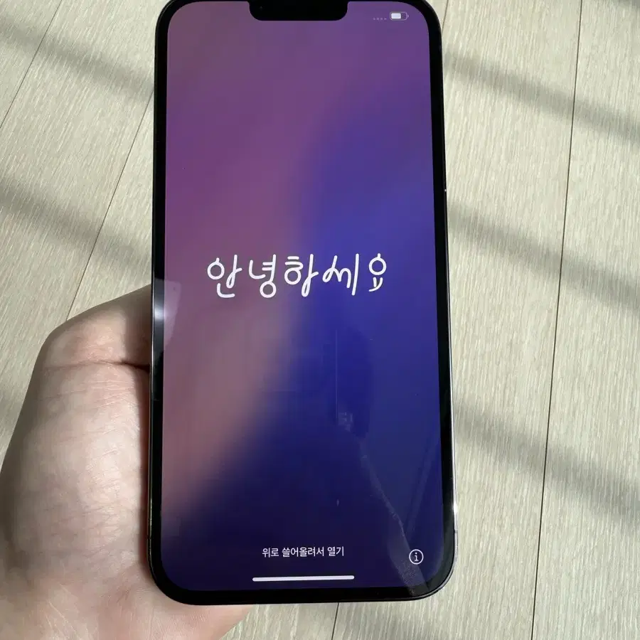 아이폰 13 Pro Max 256GB