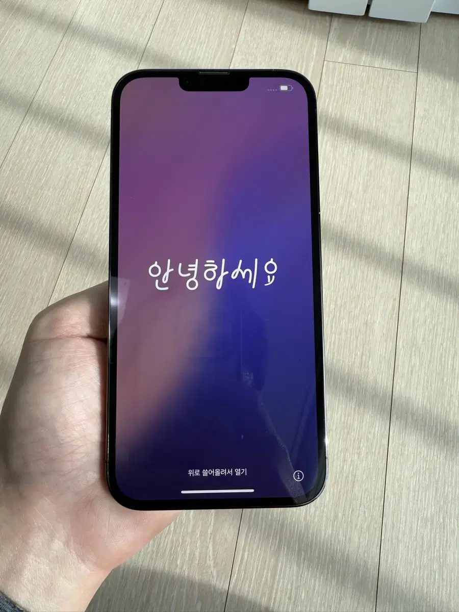 아이폰 13 Pro Max 256GB