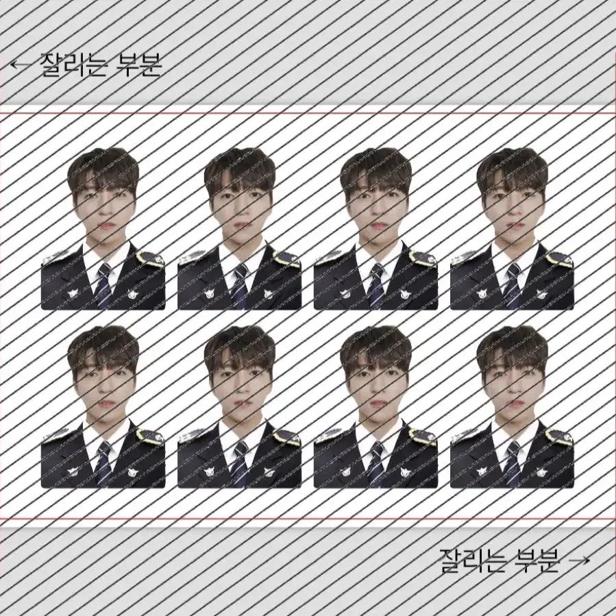 현물 2+1이벤트 데이식스 증사 데이식스증명사진 현물판매 일괄판매 증사