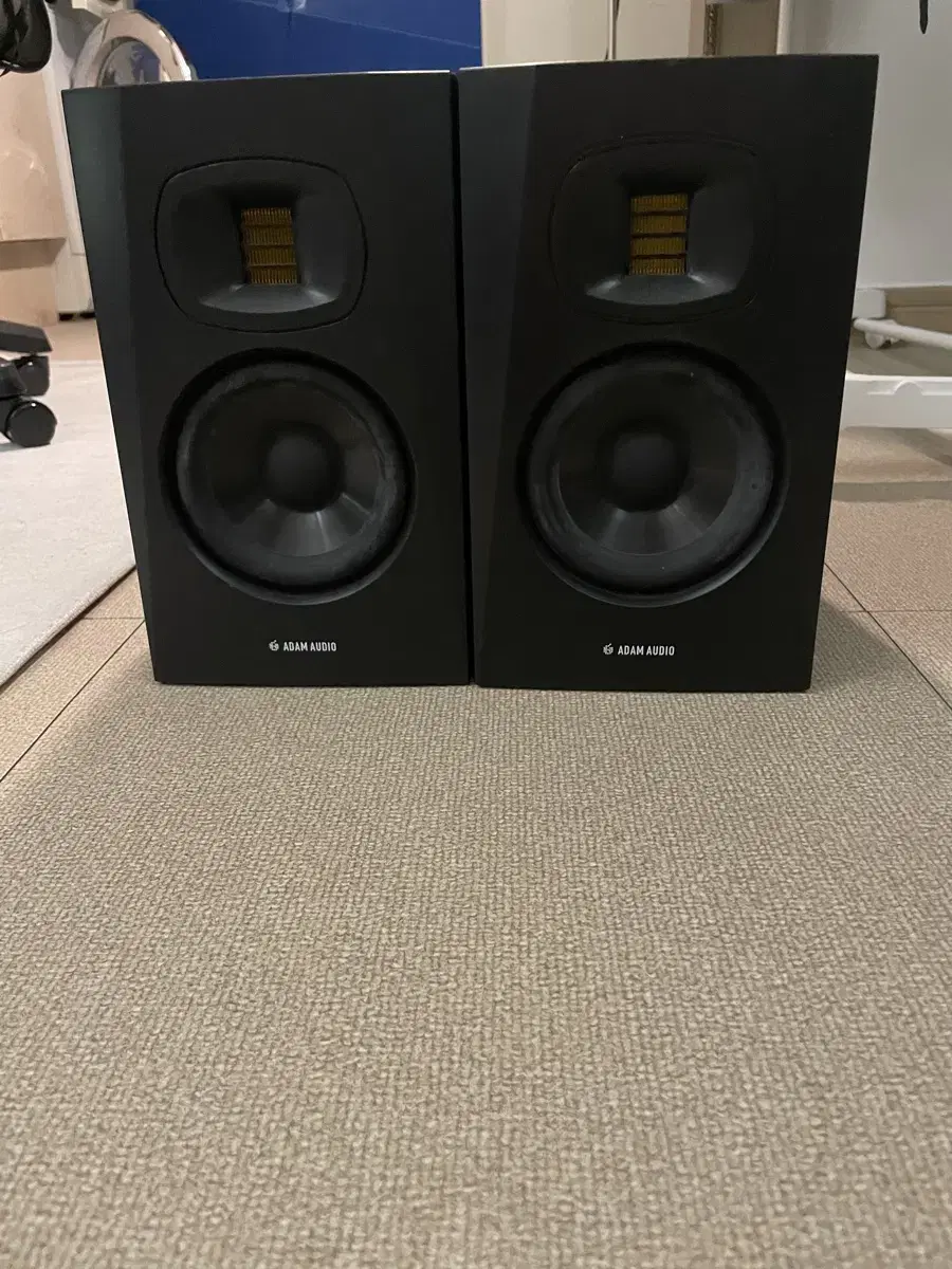 ADAM AUDIO T5V 판매 합니다!(2통)