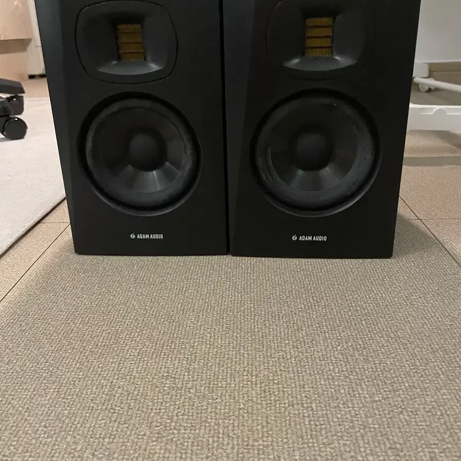 ADAM AUDIO T5V 판매 합니다!(2통)