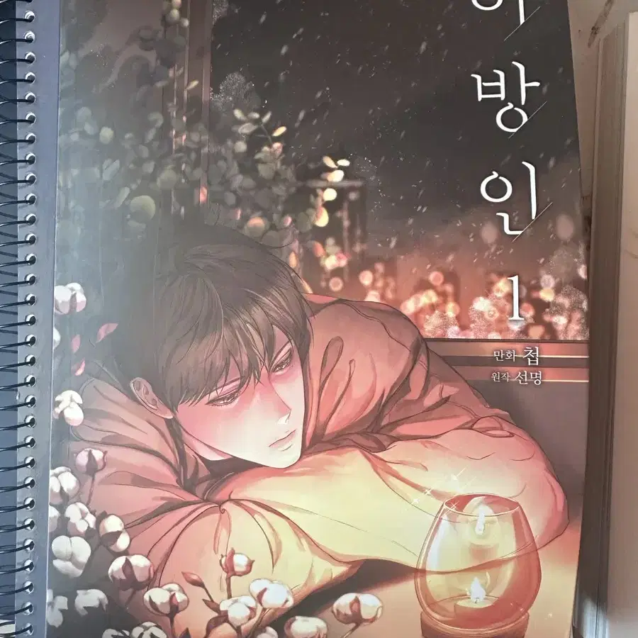 비엘 관련된거 다 팔아요 (일괄)