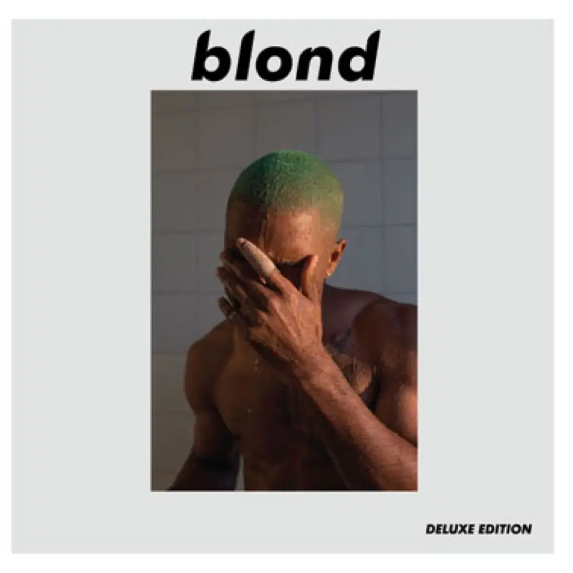 Blonde lp frank ocean 삽니다