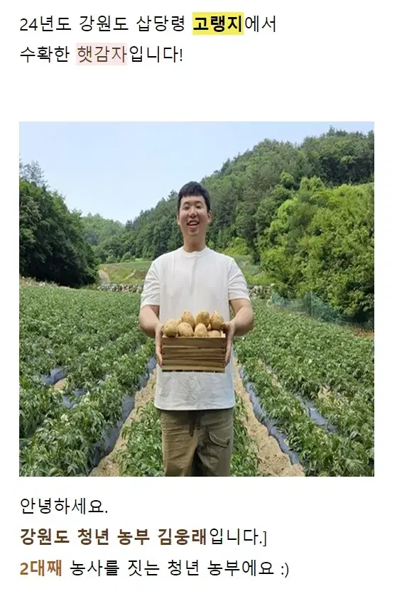 강원도 햇감자 5kg 농장 직판 무료배송