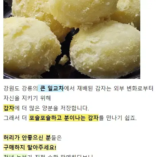 강원도 햇감자 5kg 농장 직판 무료배송