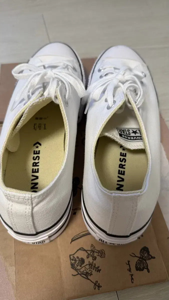 (W) Converse Chuck Taylor All Star Lift