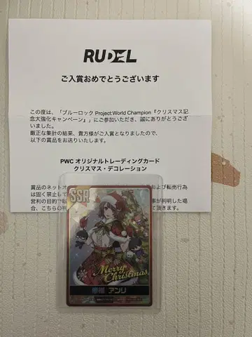 블루록 PWC 크리스마스- 데코레이션 옷깃 앙리