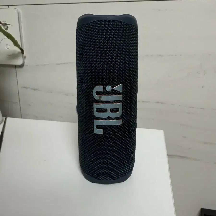 JBL flip6