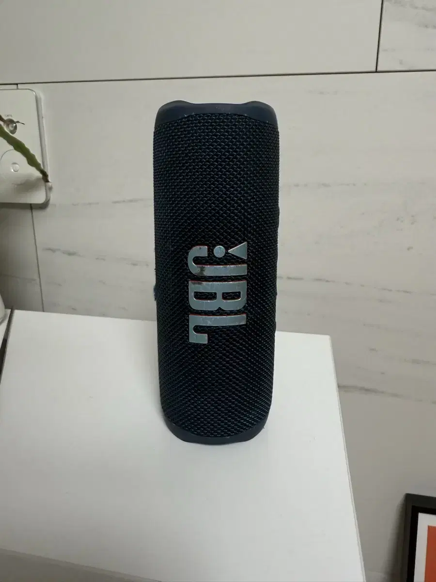 JBL flip6