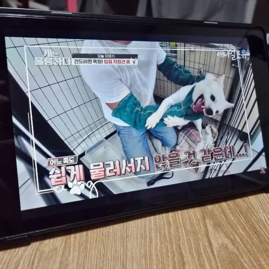 아마존 fire hd 10 (S급)