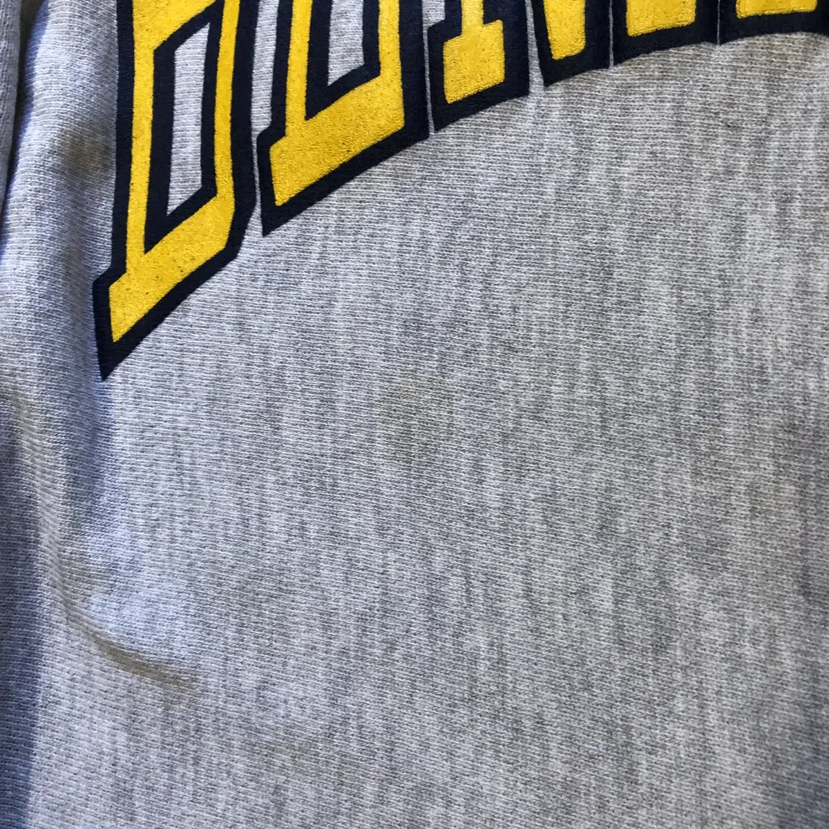 90s Champion Reverse Weave USA made