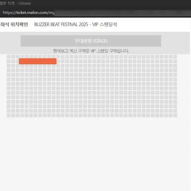 버저비트 페스티벌  VIP 스탠딩석 입장번호 4n번 단석