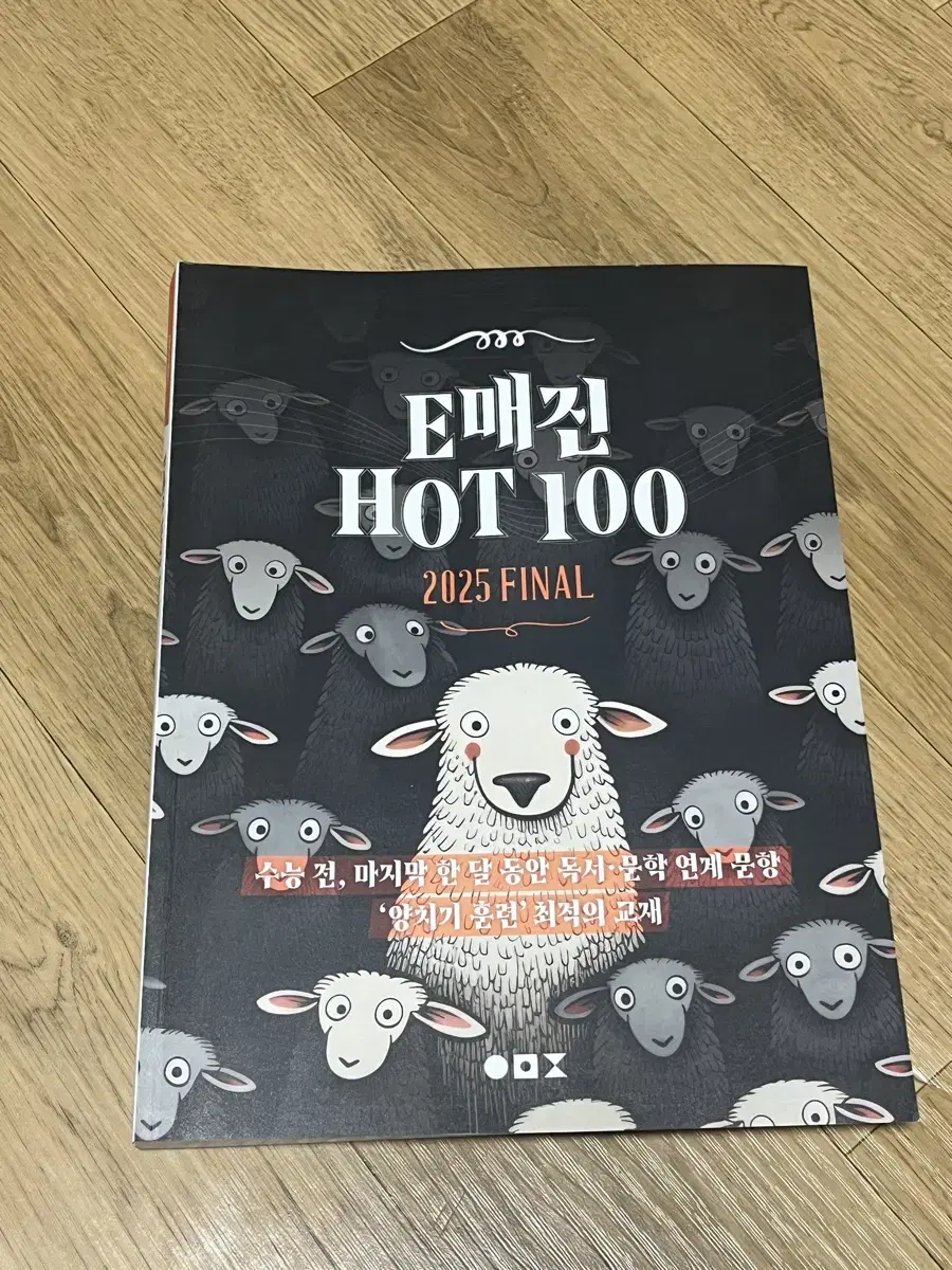 상상국어 E매진 Hot 100 , 2025 파이널