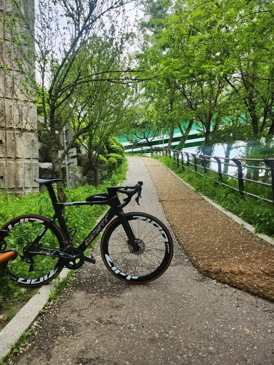 Giant Propel Advanced 2020, great deal!
