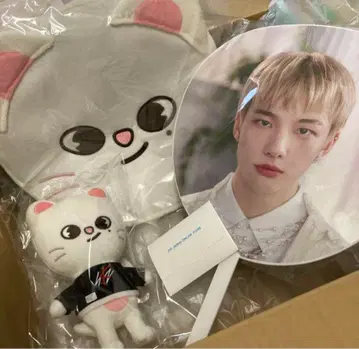 stray kids 현진 부채 지니렛토