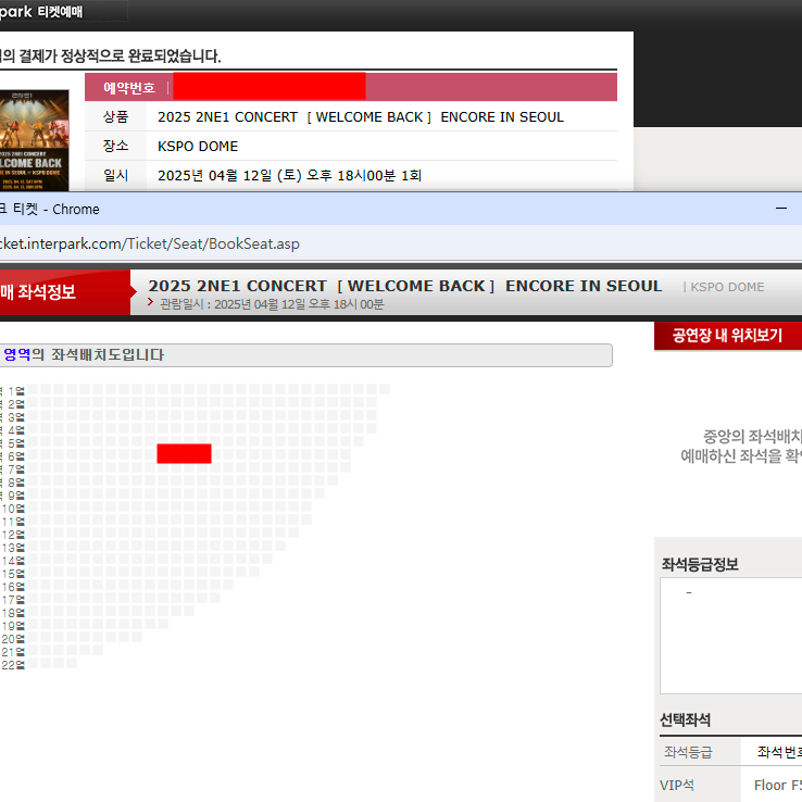 2ne1 투애니원 (토) F5구역 6열