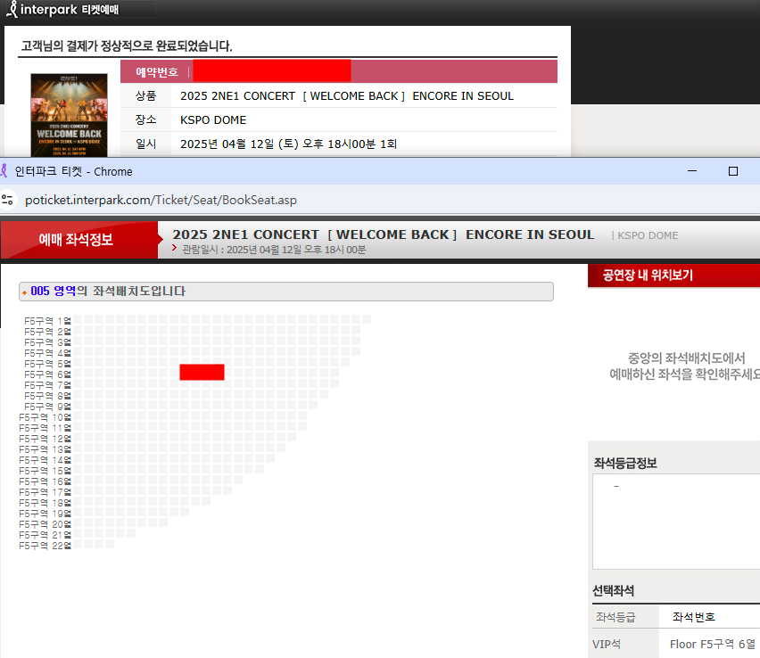 2ne1 투애니원 (토) F5구역 6열