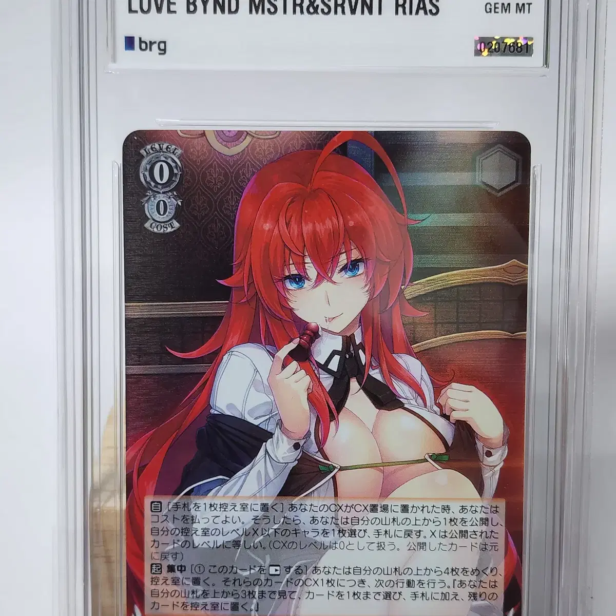 24 바슈 판타지아 문고 SRVNT RIAS SR #076S BRG10