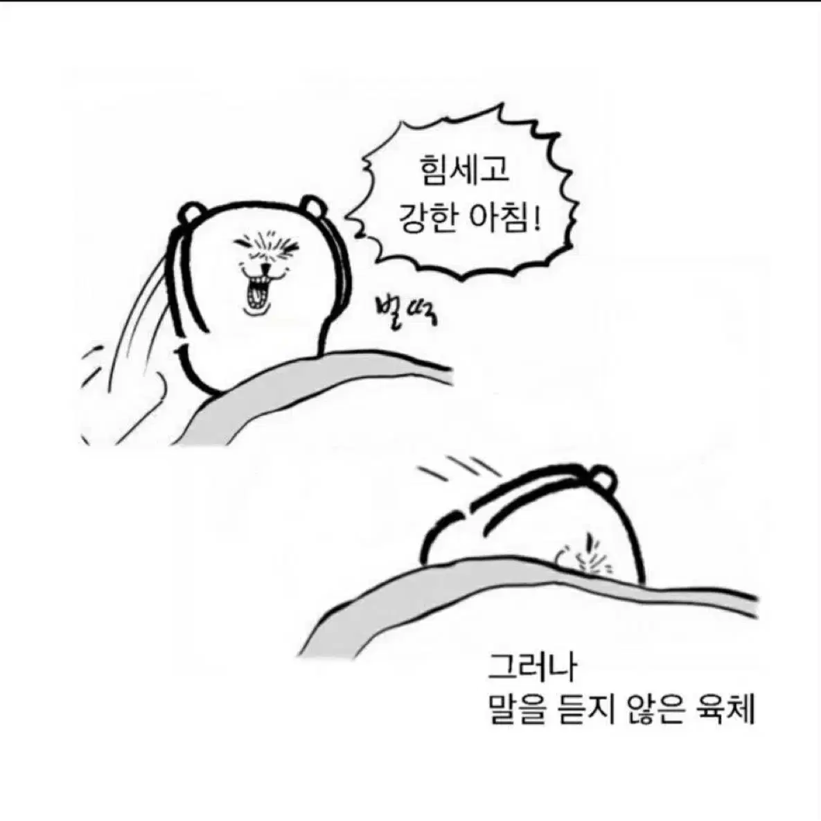 닌텐도 온라인 패밀리 같이하실분