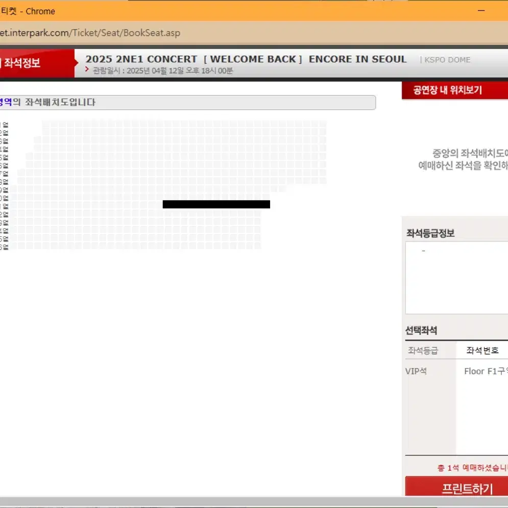 2025 2NE1 CONCERT 12일 F1 11열