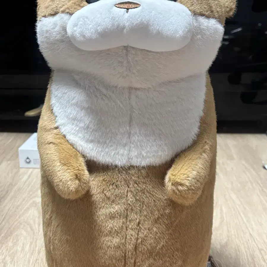 우소우소짱 인형 50cm 새상품