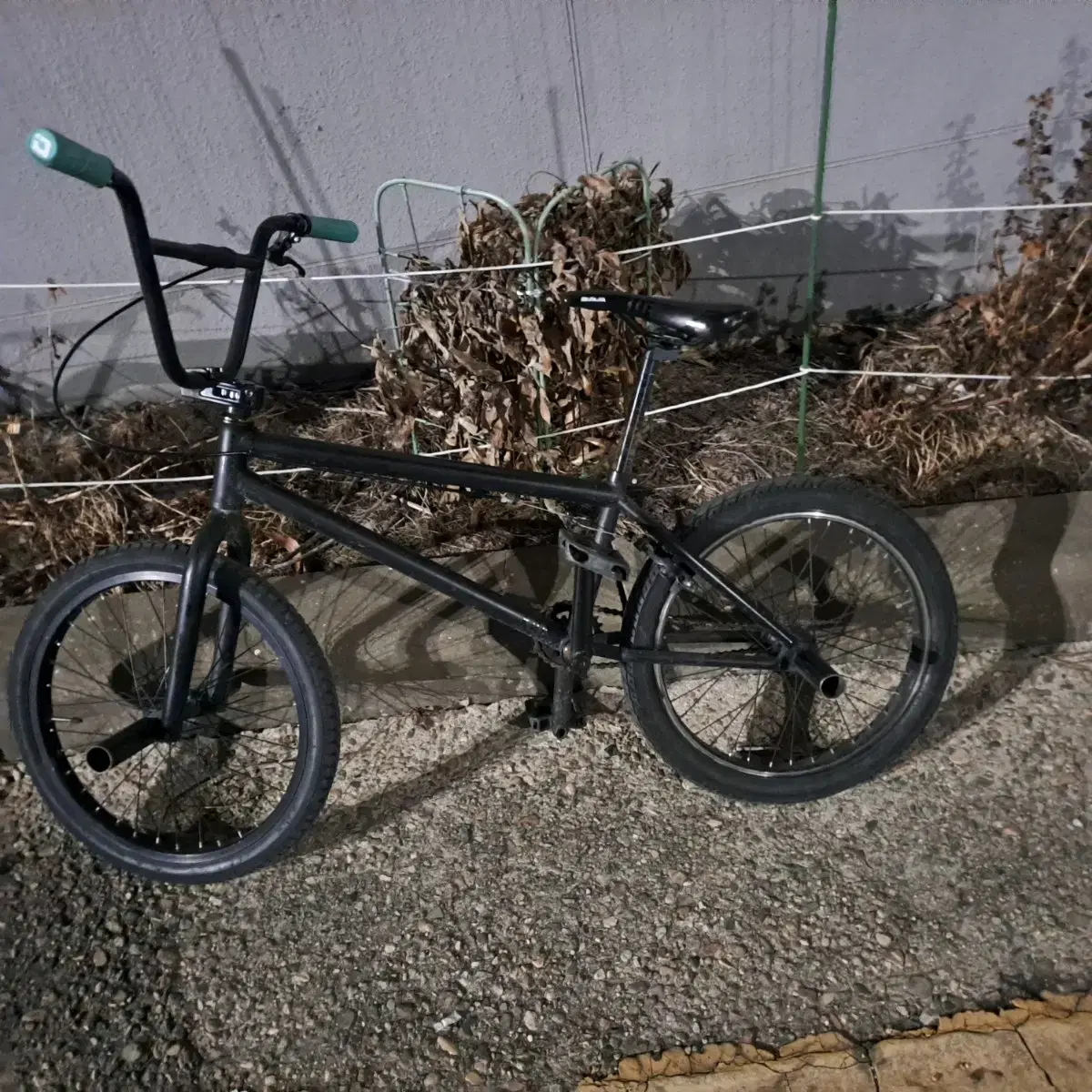 BMX 판매 대차