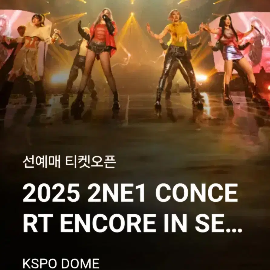 2025 2NE1 CONCERT 플로어석