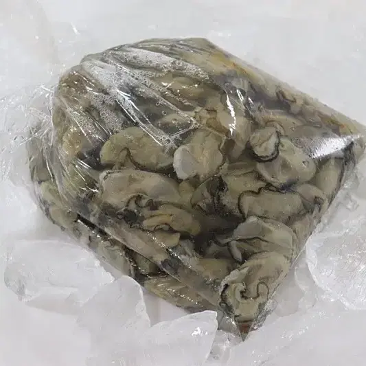 생굴1kg