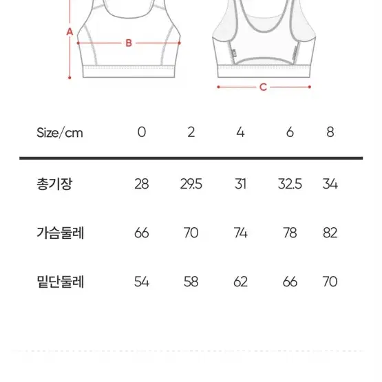 안다르 비프리 브리드 브라탑