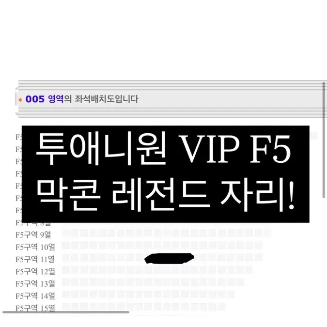 투애니원 막콘 VIP