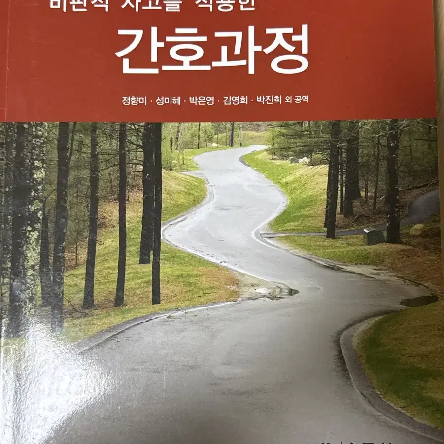 비판적 사고를 적용한 간호과정