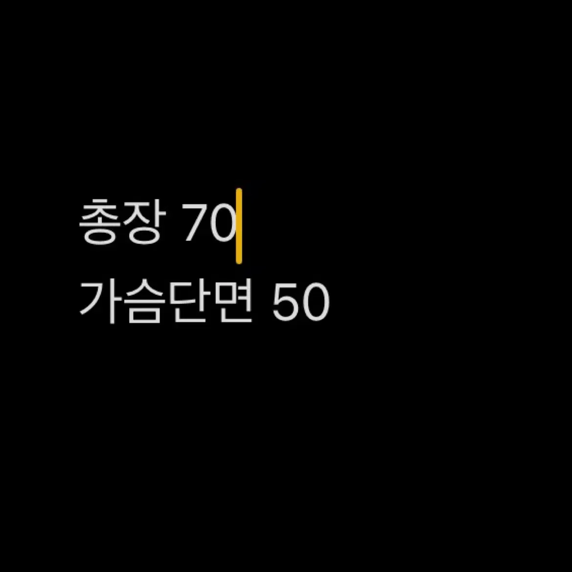 [정품, XL] 아이더 구스다운 경량 패딩       c4