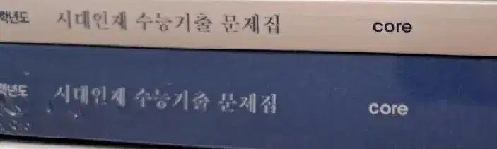 시대인재 기출 미적분 코어