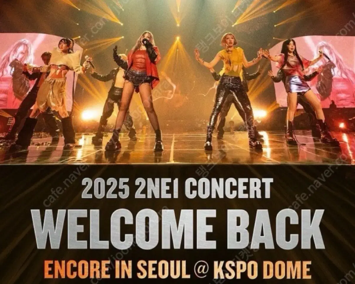 2ne1 투애니원 콘서트 티켓 막콘 양도