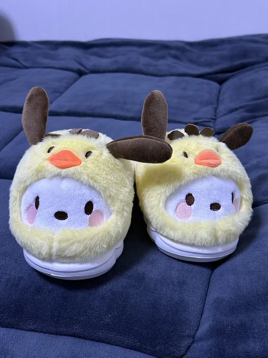 Sanrio Pochacco Fur Slippers (Limited Edition)