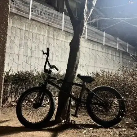 X-Former bmx 팝니대