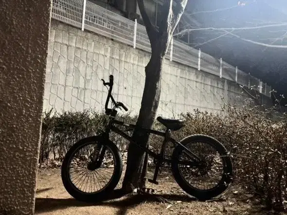 X-Former bmx 팝니대