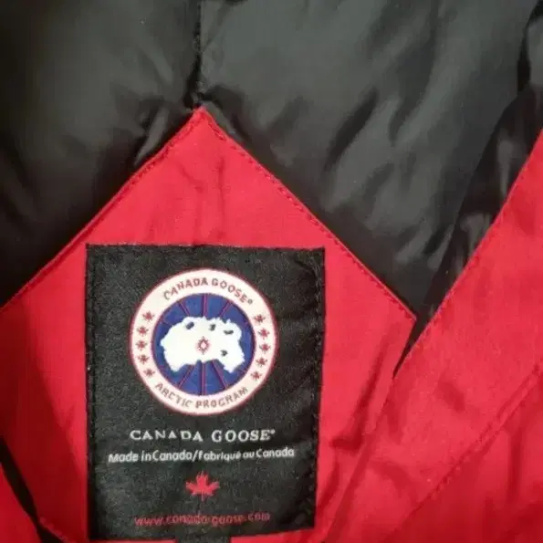 캐나다구스CANADA GOOSE  남성패딩100-105