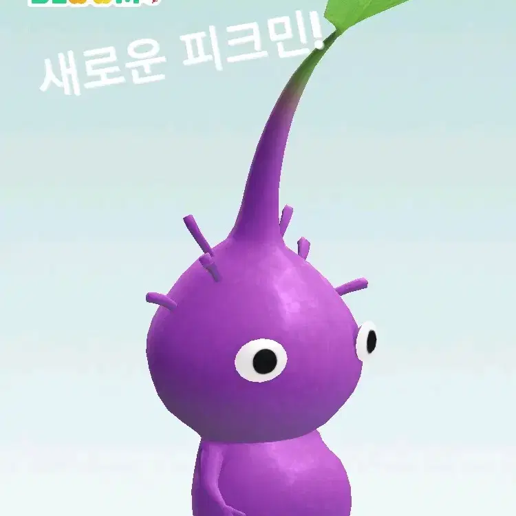 나히아 히로아카 레이디 나강 지류 일괄판매