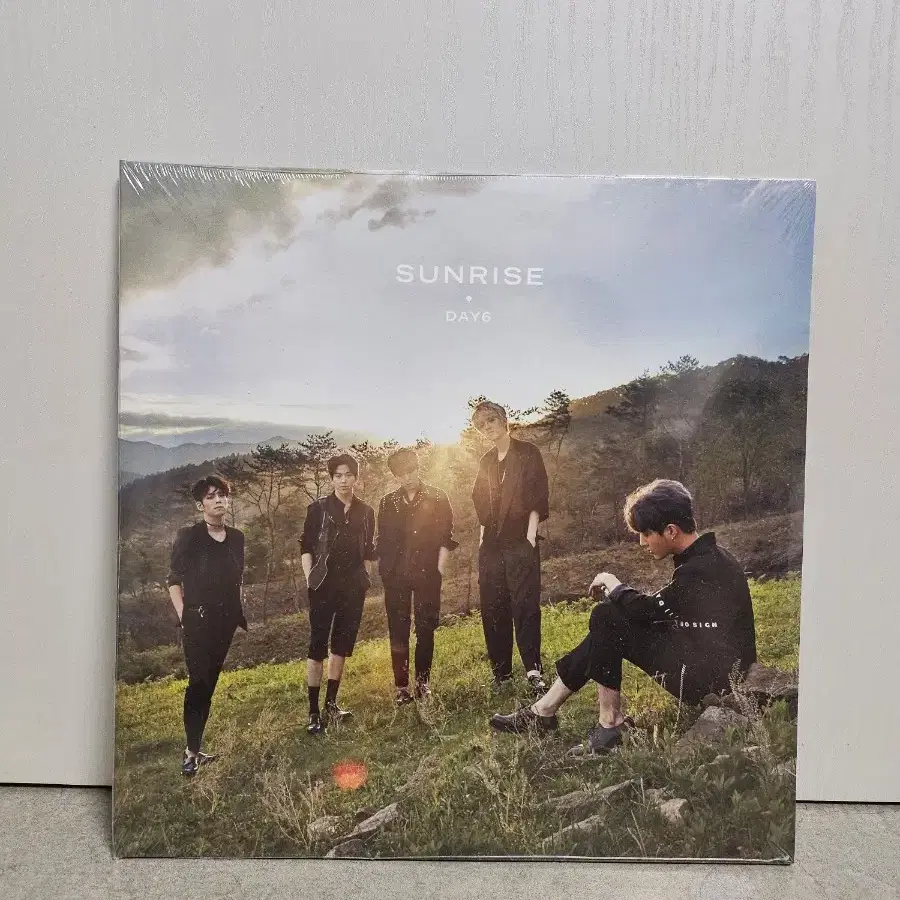 데이식스 sunrise lp 베이비핑크 미개봉