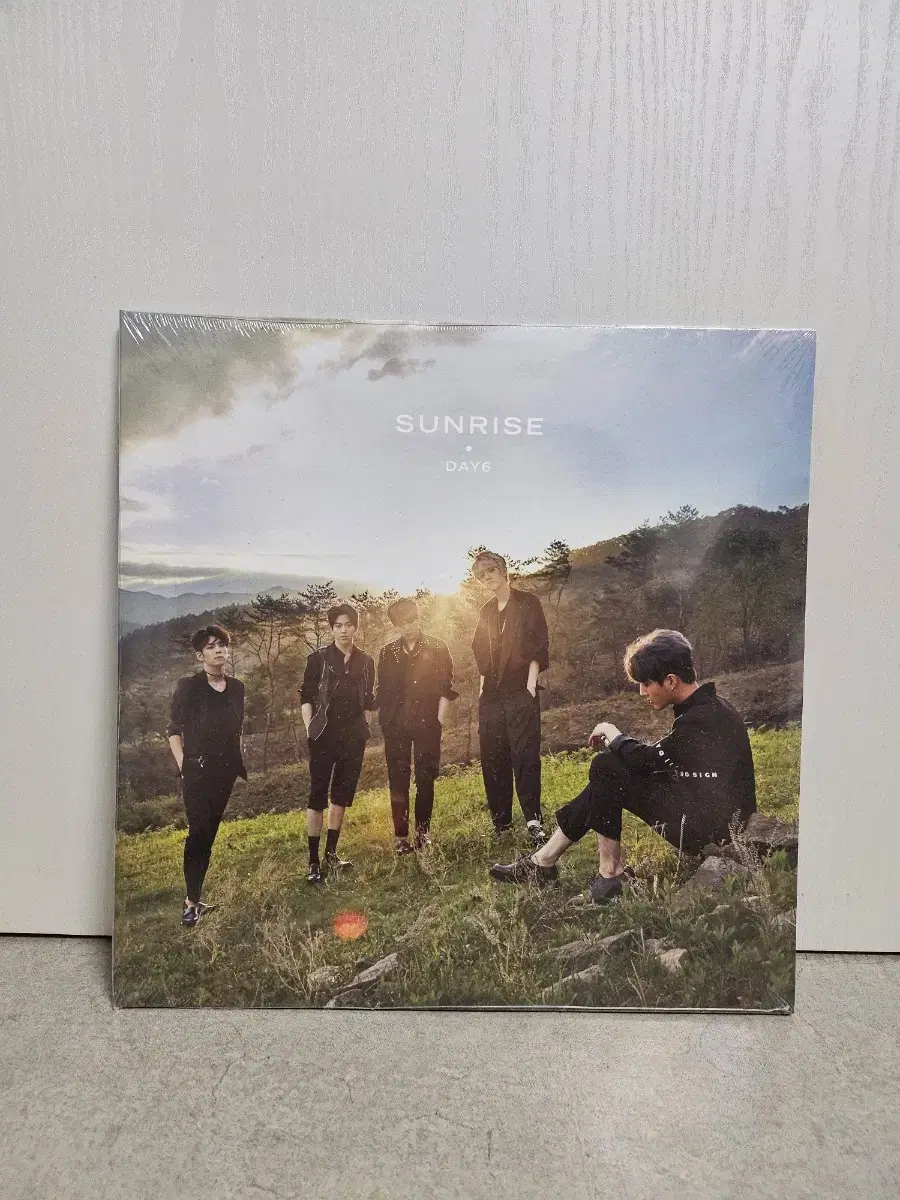 데이식스 sunrise lp 베이비핑크 미개봉