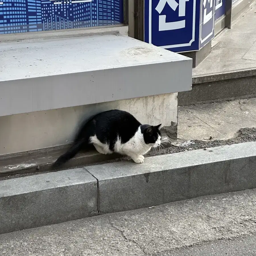 삼성라이온즈 언더아머 유니폼 오승환 마킹