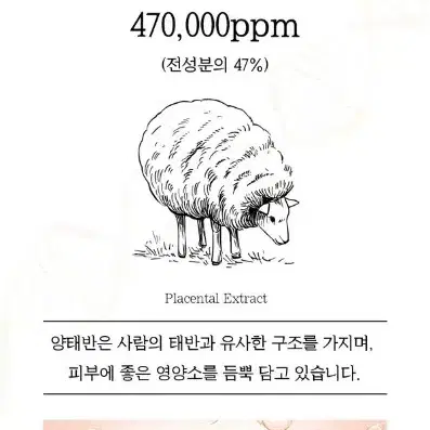 2월최신/블랑두부 줄기세포 양태반크림/블랑두부앰플 블랑우유미스트